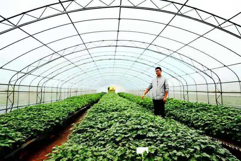 1585212744031050868.jpg 1585212744031050868.jpg