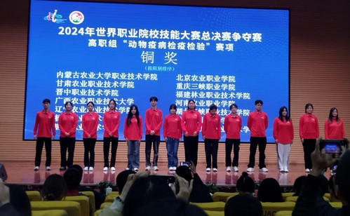 图片3.jpg
