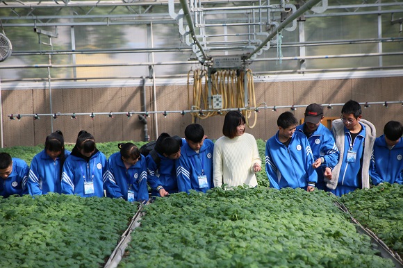 1542103472547033872.jpg 1.jpg