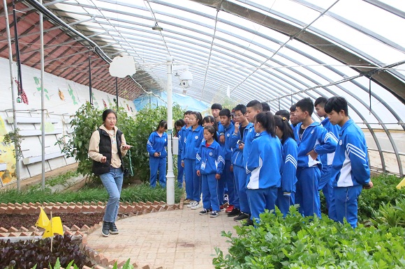 1542103489448073884.jpg 3.jpg