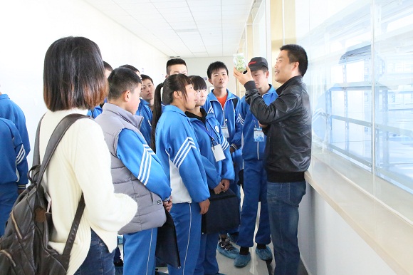 1542103411931087647.jpg 2.jpg