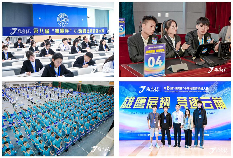 图片10.jpg