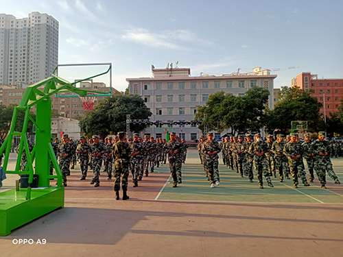 1604912361083033995.png 鍥剧墖2.png