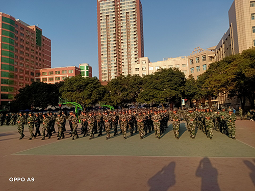 1604912350470045370.png 鍥剧墖1.png