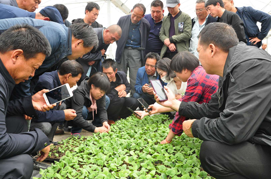 1598239165165058613.jpg 1598239165165058613.jpg