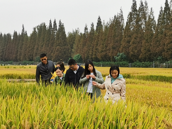 1598242186442087622.jpg 1598242186442087622.jpg