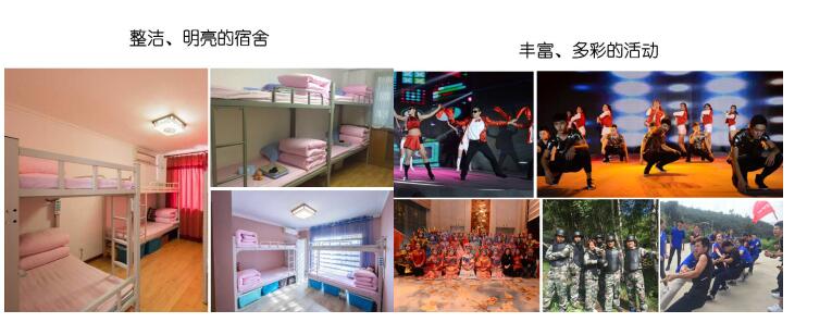 1557712288264069635.jpg 5.jpg