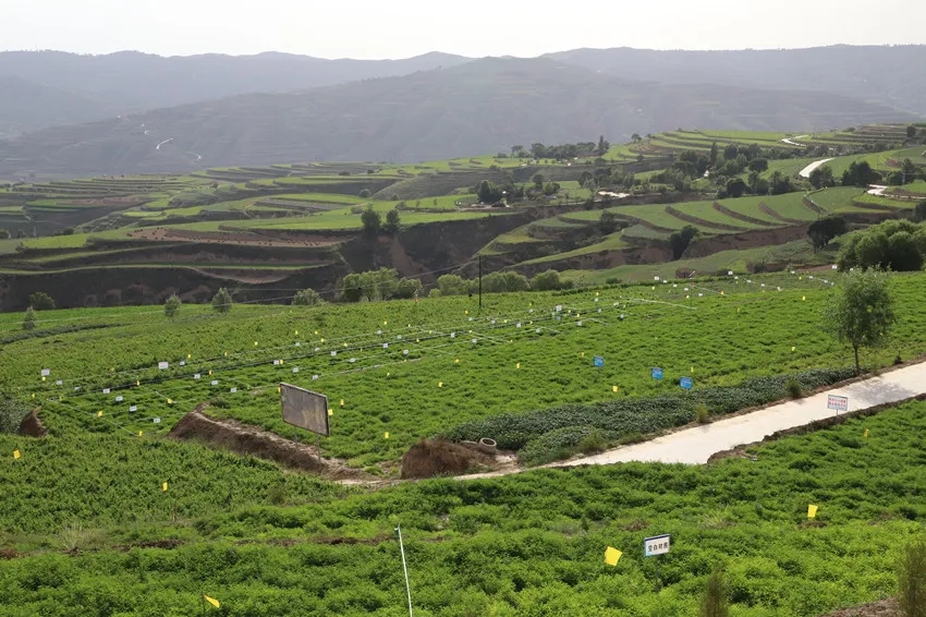 1606871481624034517.jpg 1606871481624034517.jpg